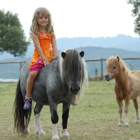 Park - Del Mare 4* Арбатакс