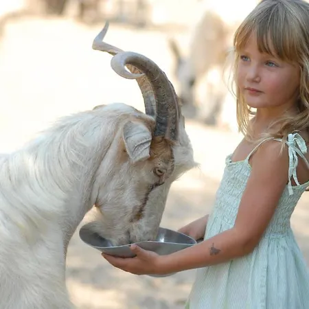 リゾート Park - Del Mare