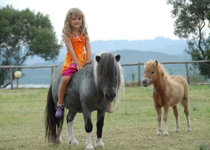 Park - Del Mare 4* Àrbatax