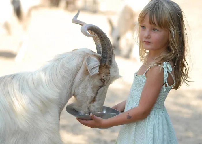 Resort Park - Del Mare