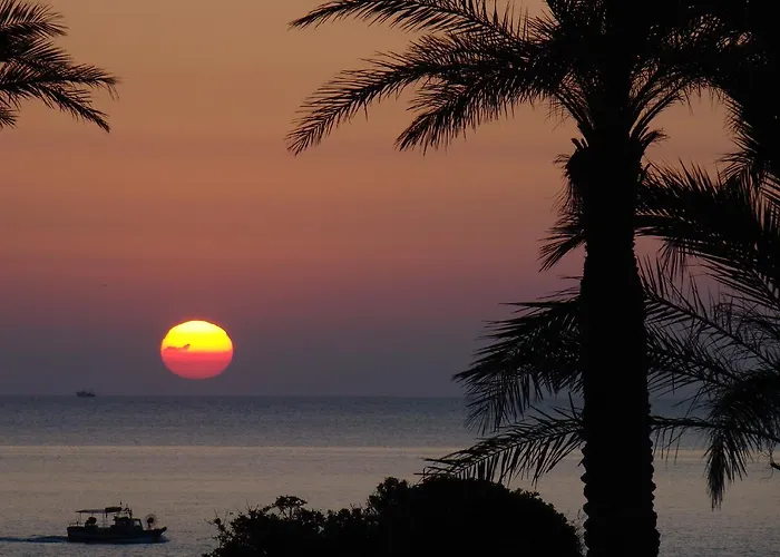 Park - Del Mare Resort Àrbatax